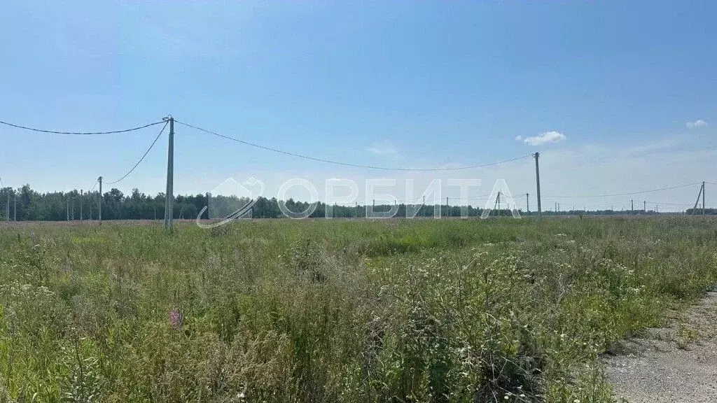Участок в Тюменская область, Тюменский район, д. Малиновка, Малиновка ... - Фото 1