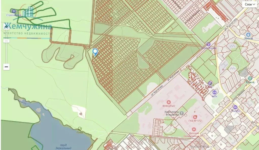 Участок в Ульяновская область, Димитровград ул. Курчатова (10.0 сот.) - Фото 1