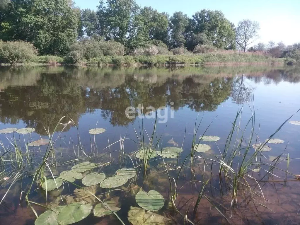 Участок в Калининградская область, Гвардейский муниципальный округ, ... - Фото 2