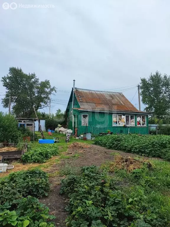 Дом в Курганская область, Шадринский муниципальный округ, село ... - Фото 1