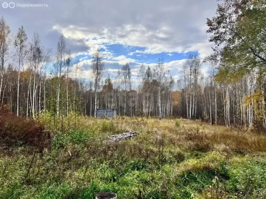 Участок в Тригуляй, СНТ Бодрость, улица Бодрость-1 (9 м) - Фото 1