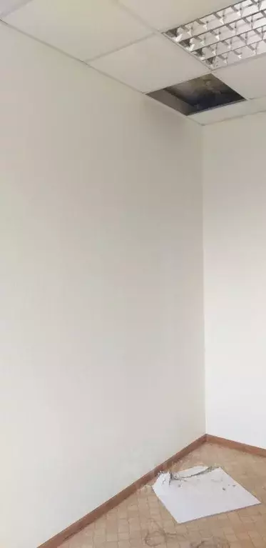 Помещение свободного назначения в Смоленская область, Красный пгт ул. ... - Фото 2