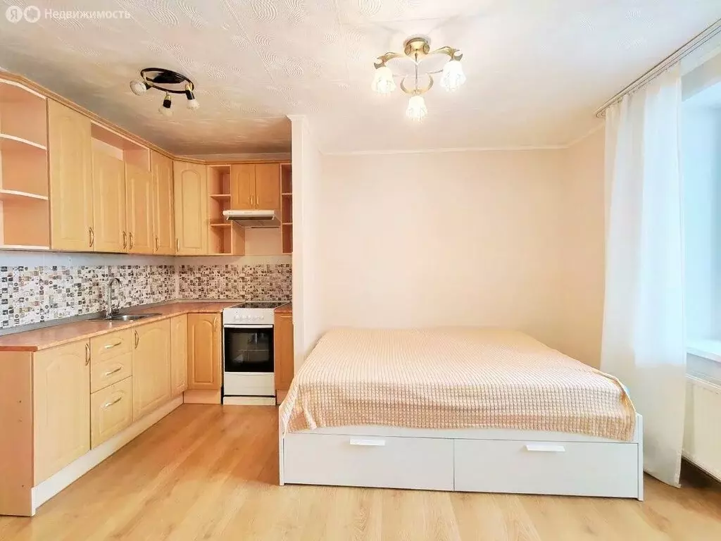 Квартира-студия: Мурино, Новая улица, 7к2 (23.6 м) - Фото 2