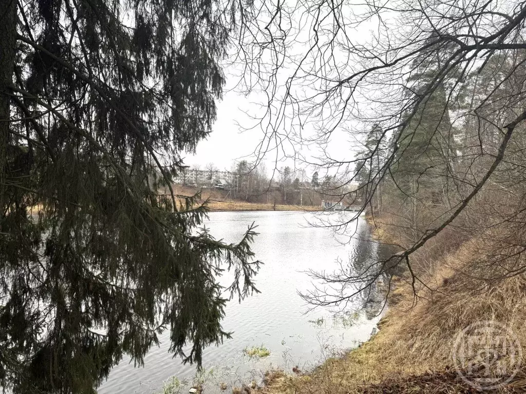 Участок в Ленинградская область, Гатчинский муниципальный округ, ... - Фото 1