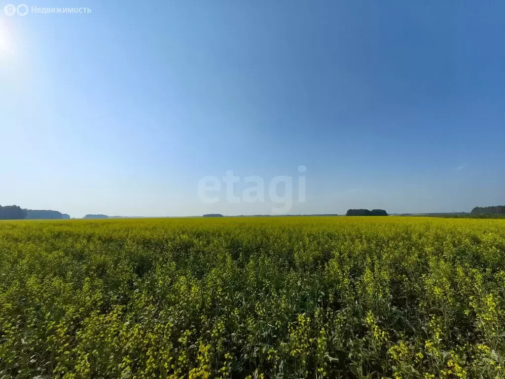 Дом в село Новопокровка, улица Ленина (64.9 м) - Фото 1