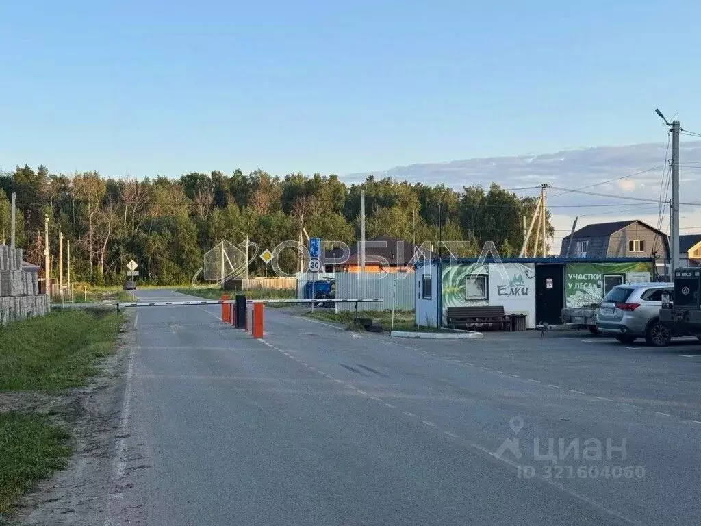 Участок в Тюменская область, Тюменский муниципальный округ, д. ... - Фото 1