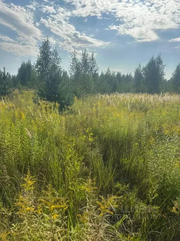 Участок в Московская область, Щелково городской округ, Ягодная тер.  ... - Фото 1