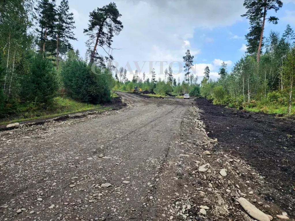 Участок в Алтай, Чемальский район, Узнезинское с/пос, с. Узнезя ул. ... - Фото 2