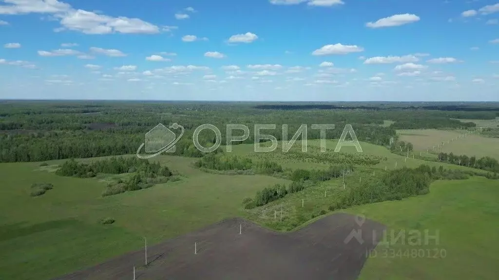 Участок в Тюменская область, Тюменский муниципальный округ, д. Елань  ... - Фото 1