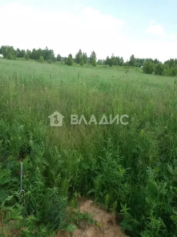 Продается участок в с. Никоновское - Фото 1