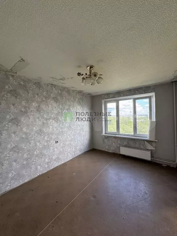1-к. квартира, 33 м, 8/9 эт. - Фото 0