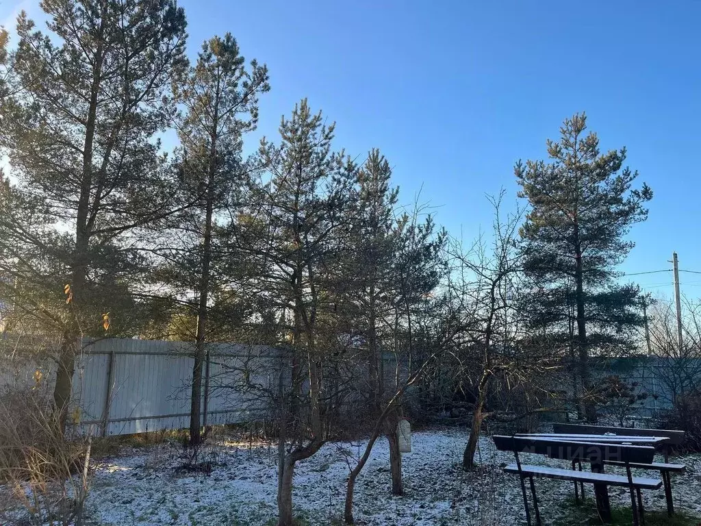 Дом в Ленинградская область, Тосненский район, Федоровское городское ... - Фото 1