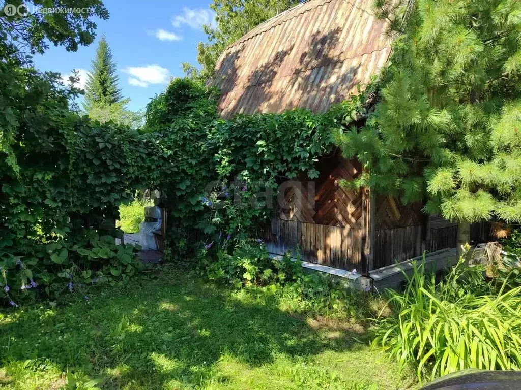 Участок в Тюмень, СНТ Изобилие, Северная улица (4.98 м) - Фото 0