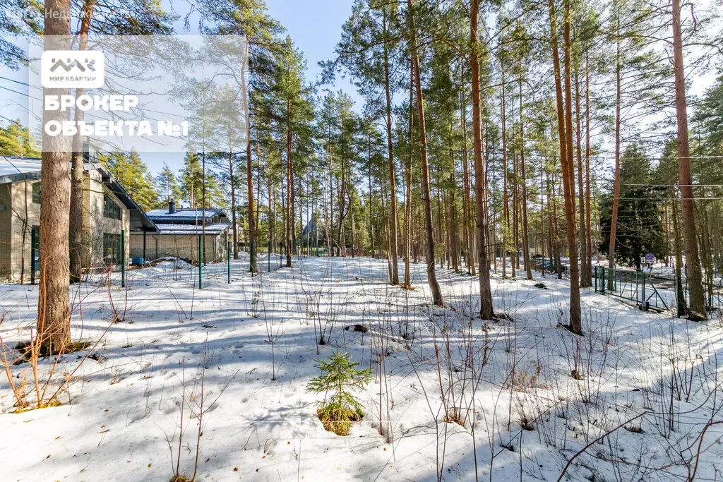 Участок в посёлок Солнечное, 1-я Боровая улица (24 м) - Фото 2