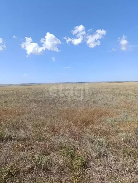 Участок в Крым, Сакский район, с. Штормовое ул. Ленина (200.0 сот.) - Фото 0