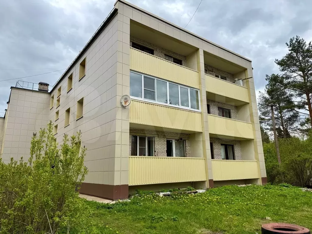 2-к. квартира, 49,4 м, 2/3 эт. - Фото 1