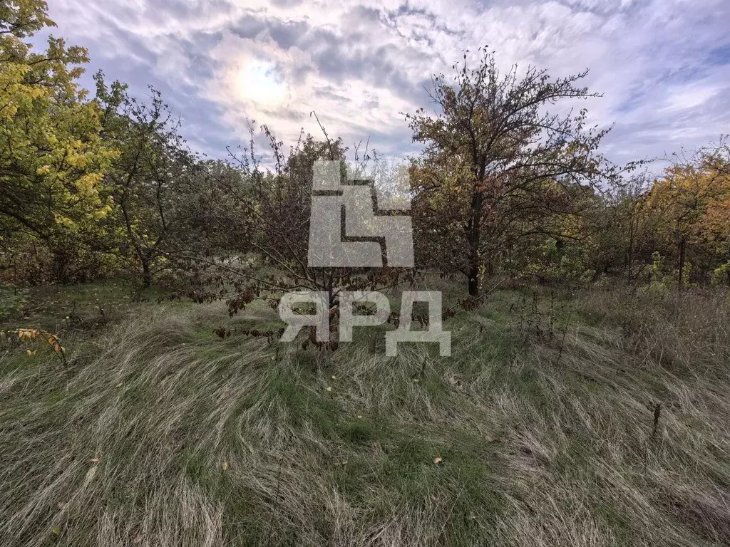 Участок в Ростовская область, Таганрог Азовская ул. (10.0 сот.) - Фото 2