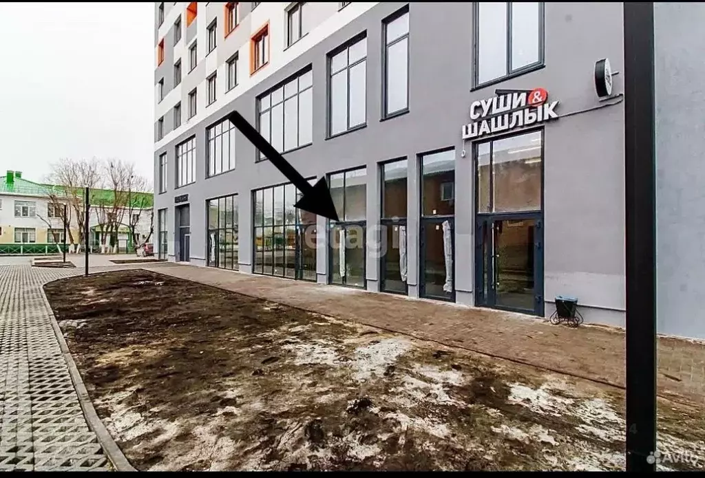 Помещение свободного назначения в Тюменская область, Тюмень ул. ... - Фото 0