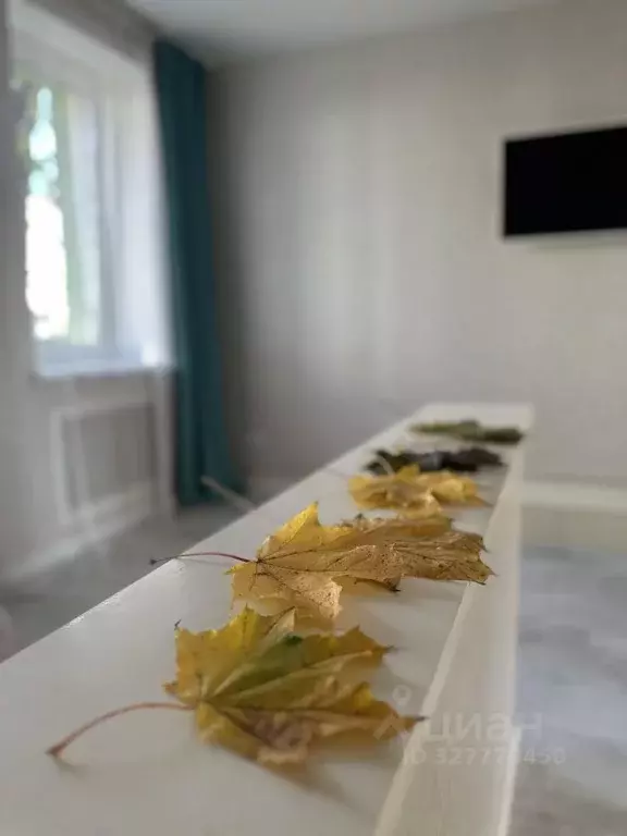 3-к кв. Калининградская область, Калининград ул. Репина, 1 (62.5 м) - Фото 1