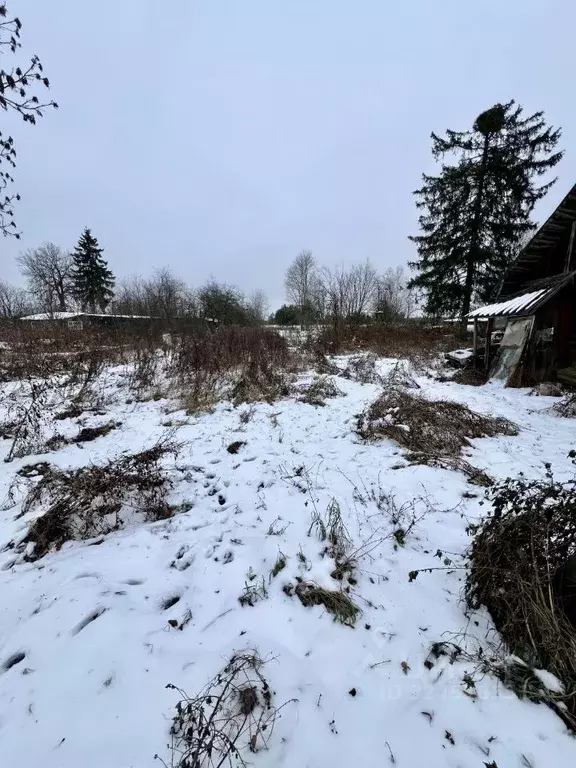 Участок в Псковская область, Псковский район, Тямшанская волость, д. ... - Фото 1