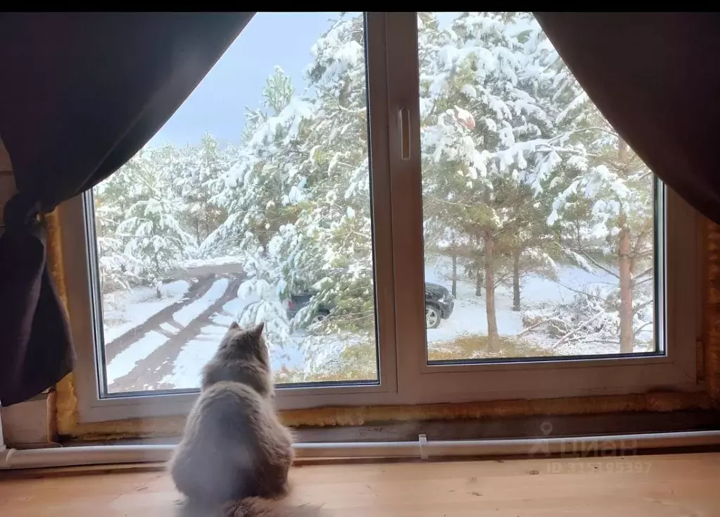 Дом в Алтай, Чемальский район, Элекмонарское с/пос  (112 м) - Фото 2
