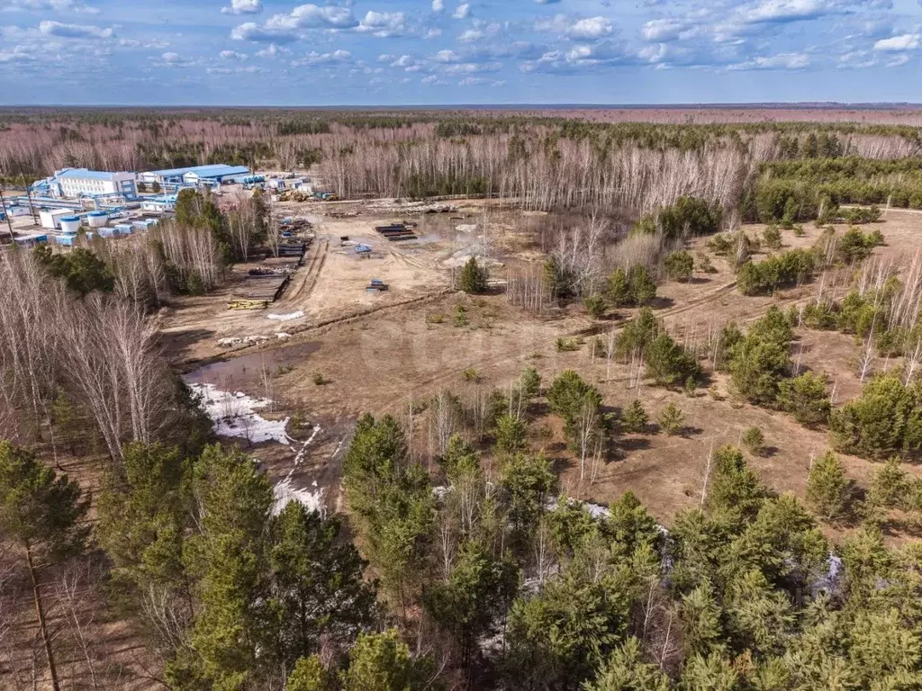 Участок в Новосибирская область, Новосибирский район, с. Кубовая  ... - Фото 2