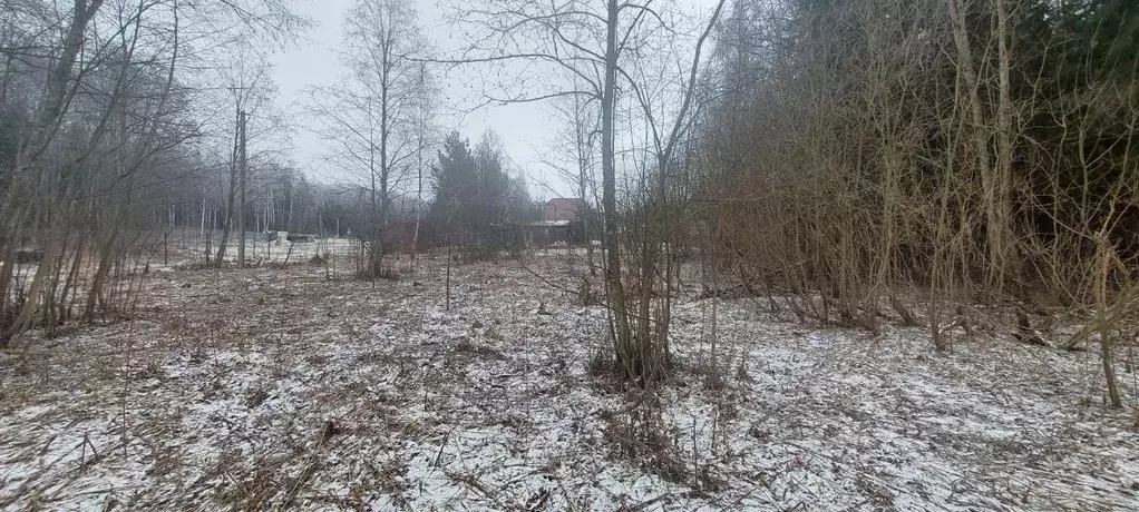 Участок, 10 сот., сельхоз (снт или днп) - Фото 1