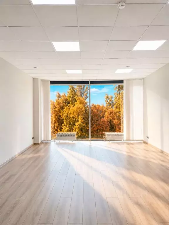 Офис в Санкт-Петербург ул. Фучика, 25 (56 м) - Фото 1
