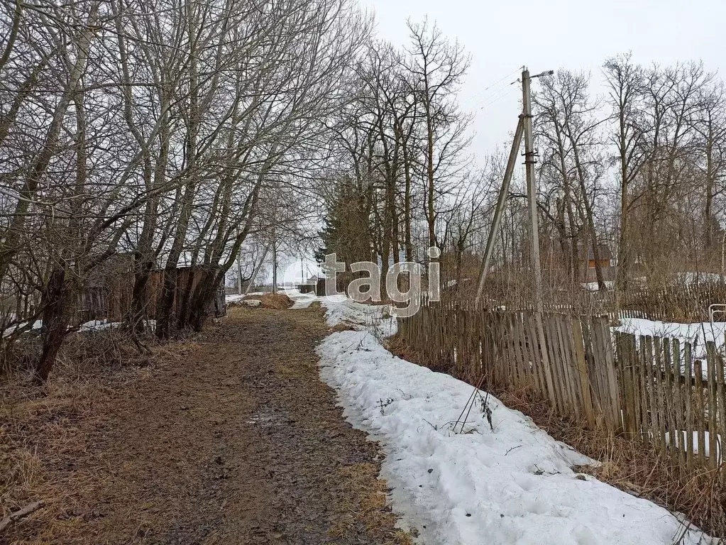 Участок в Вологодская область, с. Мосейково  (4.0 сот.) - Фото 1