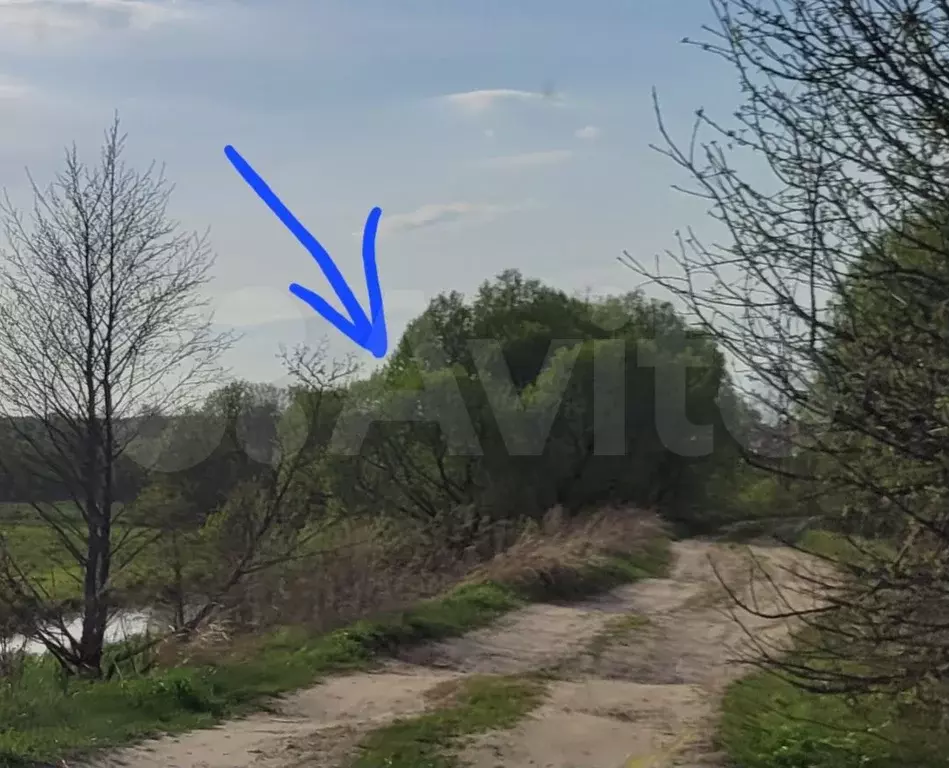 Участок 3 га (СНТ, ДНП) - Фото 0