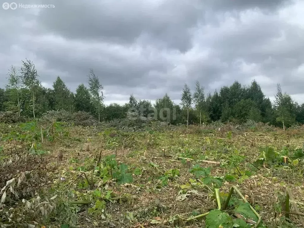 Участок в село Выльгорт, Совхозная улица (10 м) - Фото 0