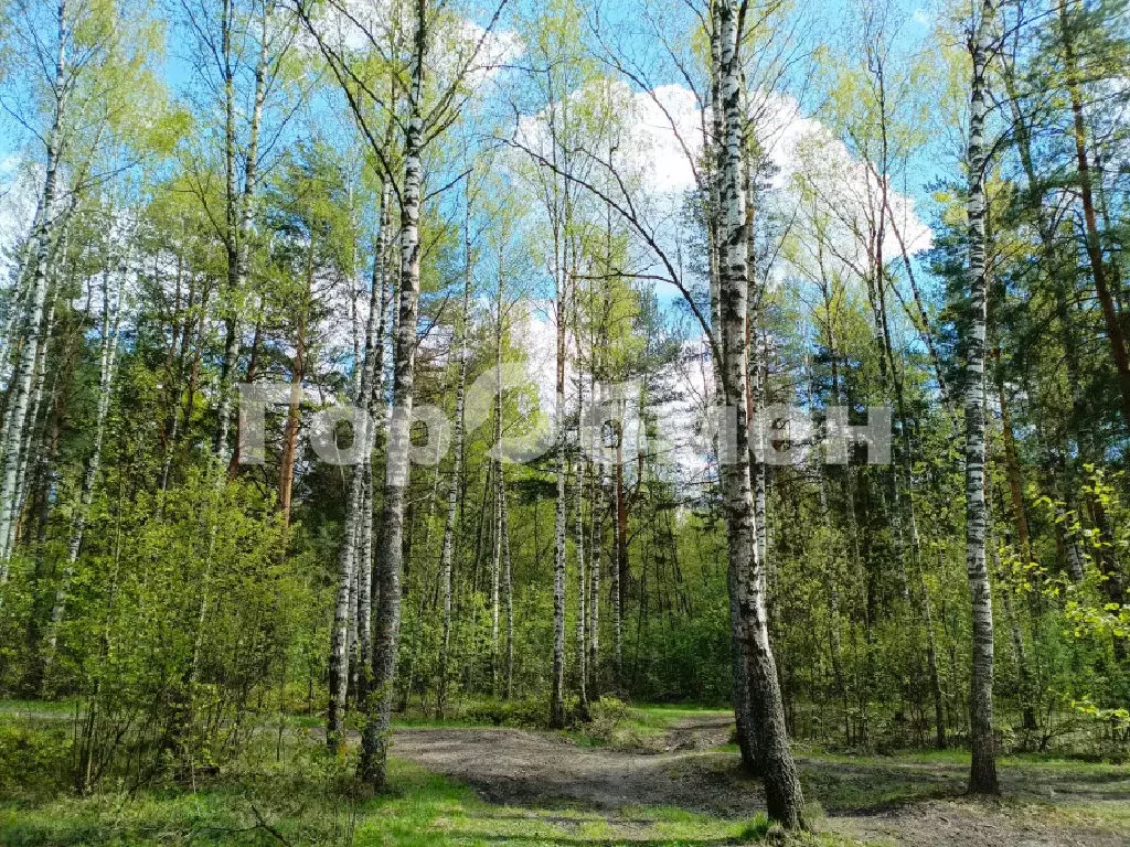 Продается участок - Фото 1