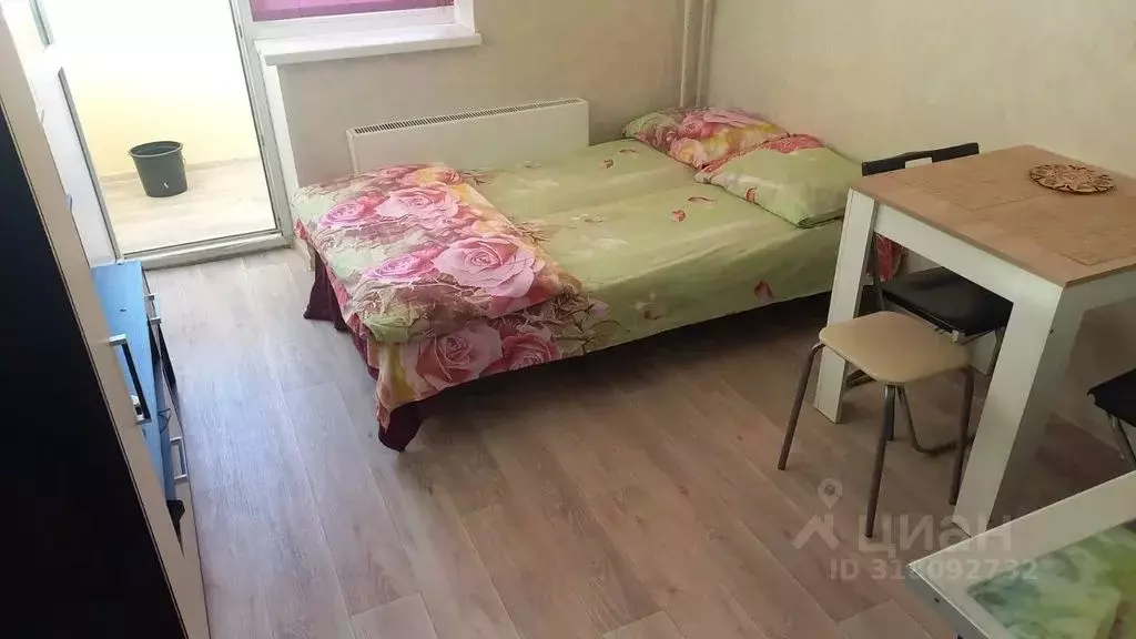 1-к кв. Нижегородская область, Нижний Новгород д. Афонино, ул. Красная ... - Фото 1