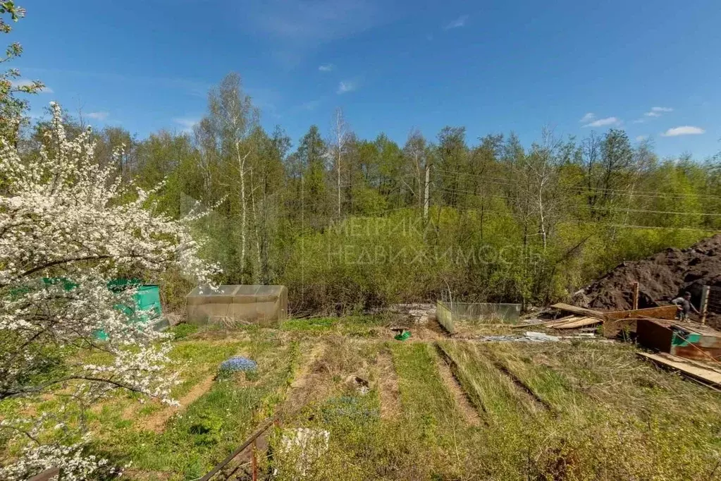 Участок в Тюменская область, Тюмень СОСН Мичуринец тер., 160 (4.0 ... - Фото 2