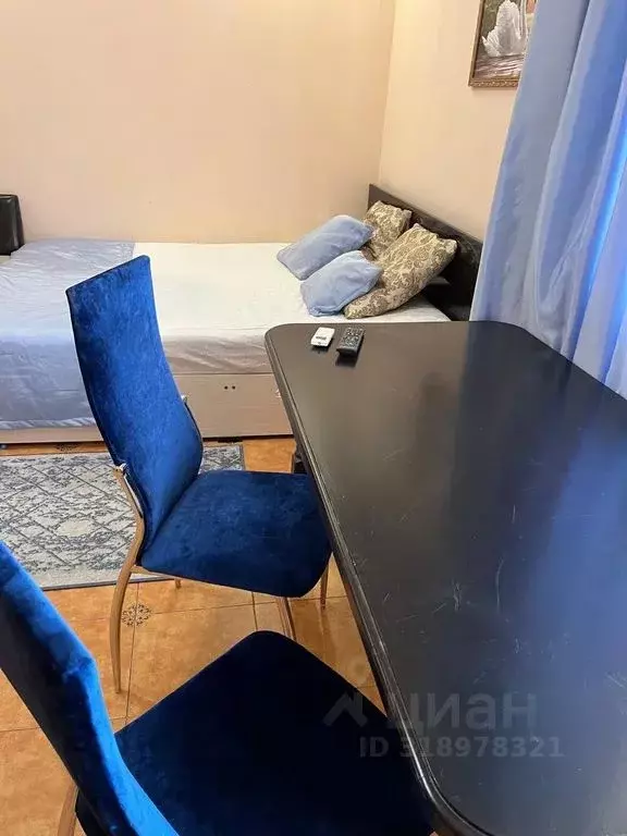 1-к кв. Краснодарский край, Сочи Мамайка мкр, ул. Волжская, 57 (30.0 ... - Фото 0