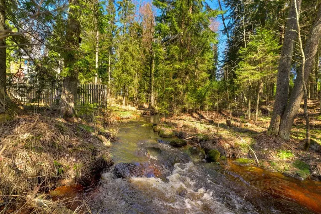 Участок в Ленинградская область, Всеволожский район, Агалатовское ... - Фото 1