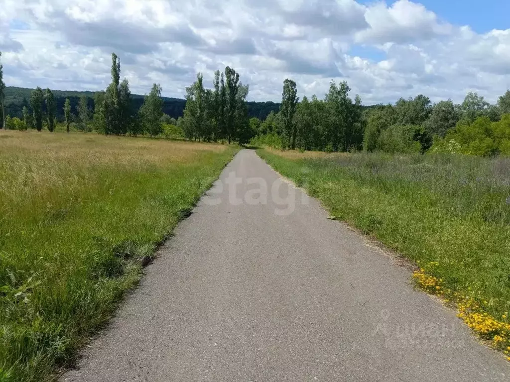 Участок в Белгородская область, Белгородский муниципальный округ, с. ... - Фото 1