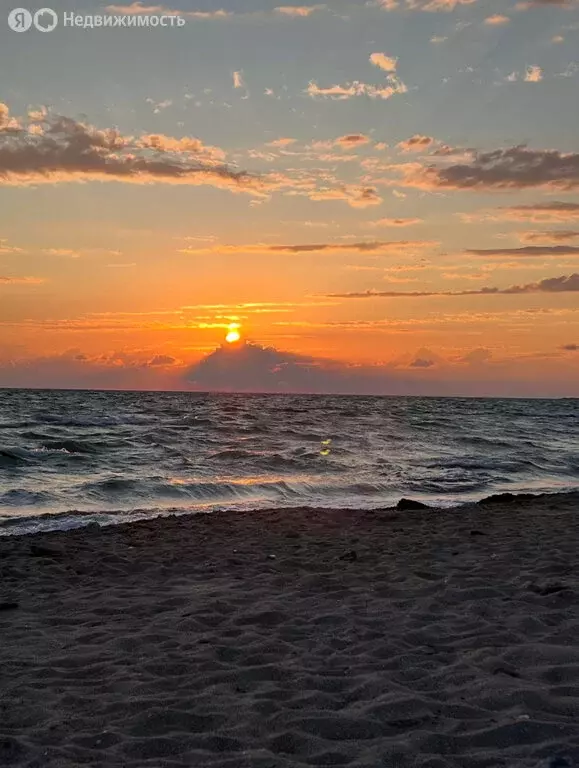 Участок в Саки, Заводская улица, 84Б (4.6 м) - Фото 1