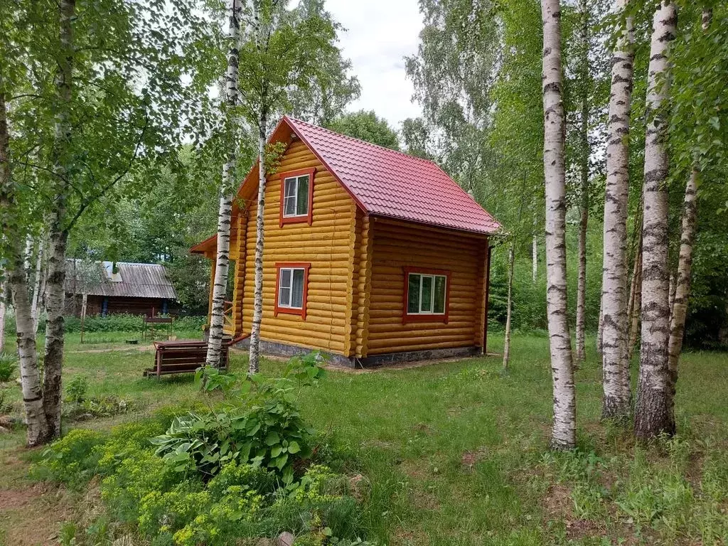 Дом в Новгородская область, Валдайский район, Костковское с/пос, д. ... - Фото 0