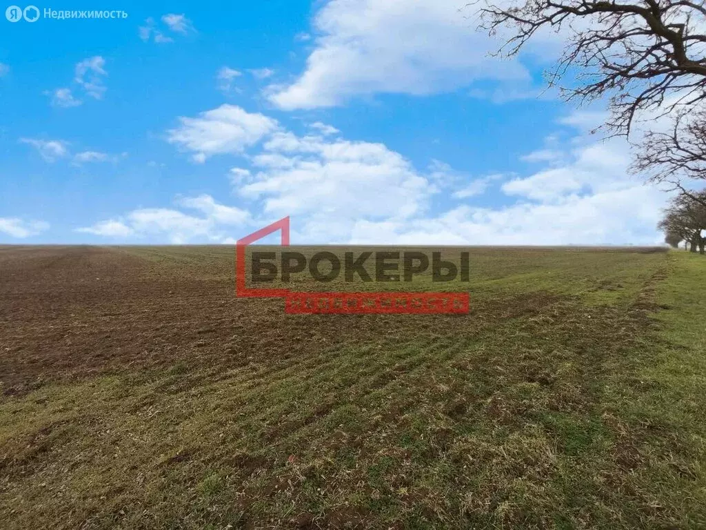 Участок в Сакский район, село Молочное (5.8 м) - Фото 1