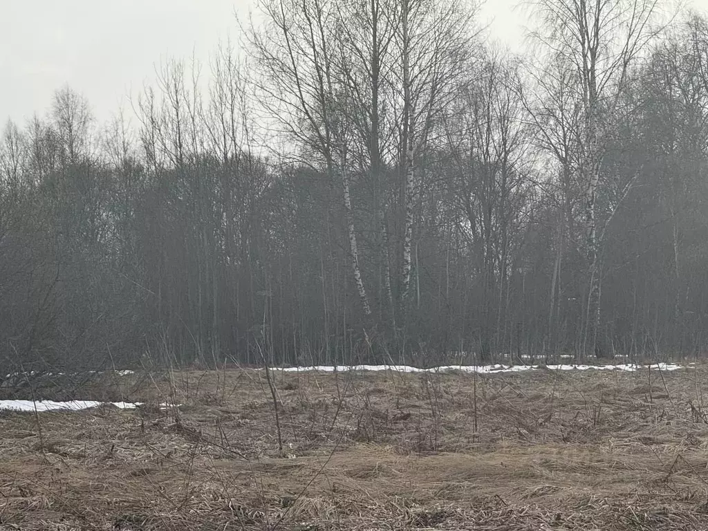 Участок в Московская область, Можайский муниципальный округ, д. ... - Фото 1