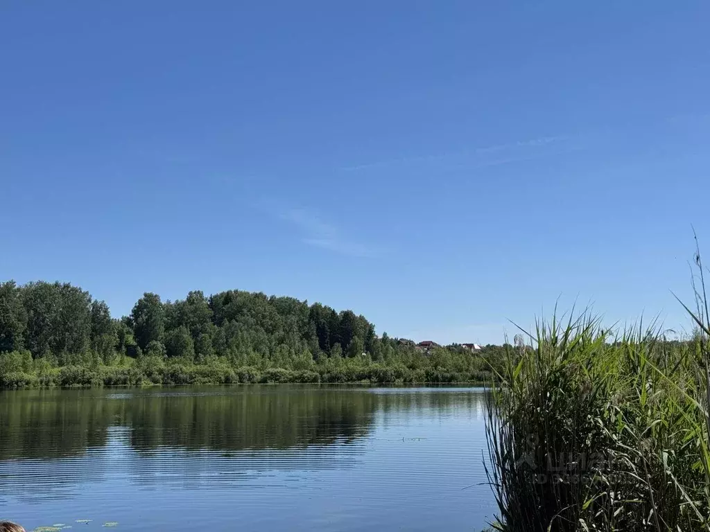 Участок в Московская область, Дмитровский городской округ, д. ... - Фото 0