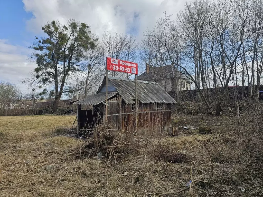 Участок в Калининградская область, Калининград Заря СНТ, ул. Ореховая ... - Фото 2