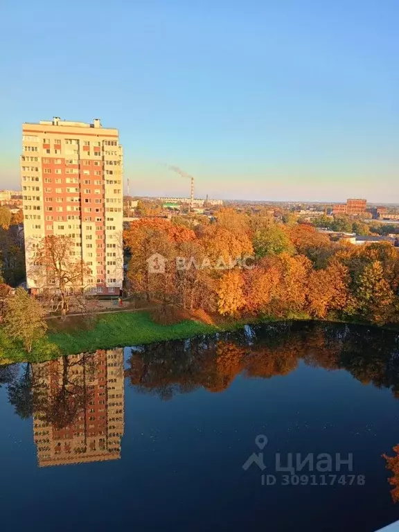 1-к кв. Калининградская область, Калининград ул. Литовский Вал, 87Б ... - Фото 0