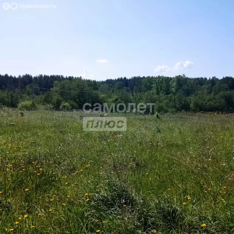 Участок в посёлок городского типа Белоярский, переулок Свердлова (8.67 ... - Фото 1