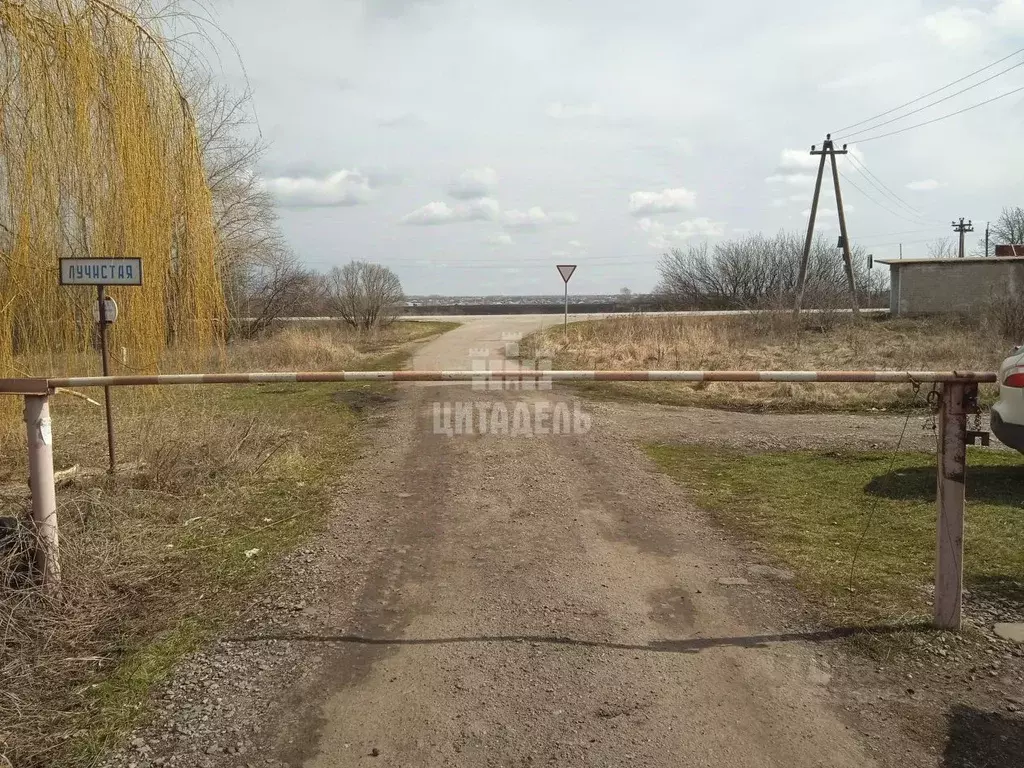 Участок в Воронежская область, Каширский район, Боевское с/пос, ... - Фото 1