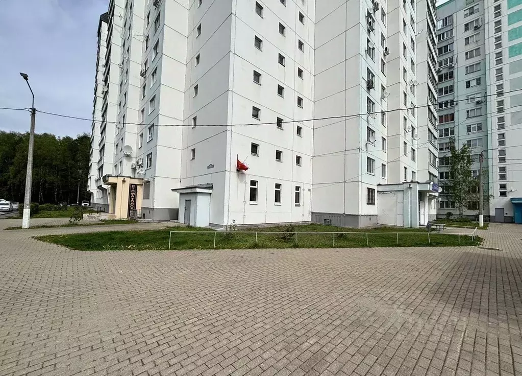 2-к кв. Московская область, Ногинск Богородский городской округ, ул. ... - Фото 2