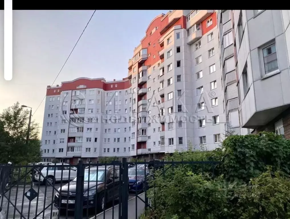 Комната Санкт-Петербург ул. Симонова, 4к1 (14.9 м) - Фото 1