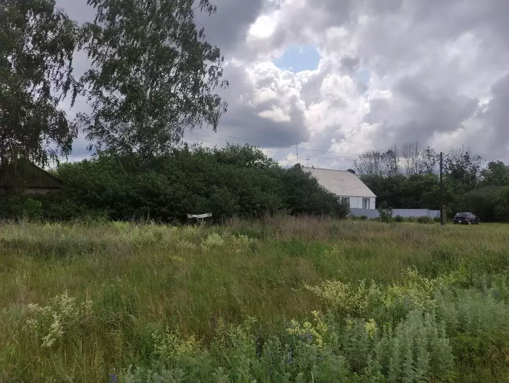 Дом в Воронежская область, Староведугское с/пос, с. Старая Ольшанка  ... - Фото 1