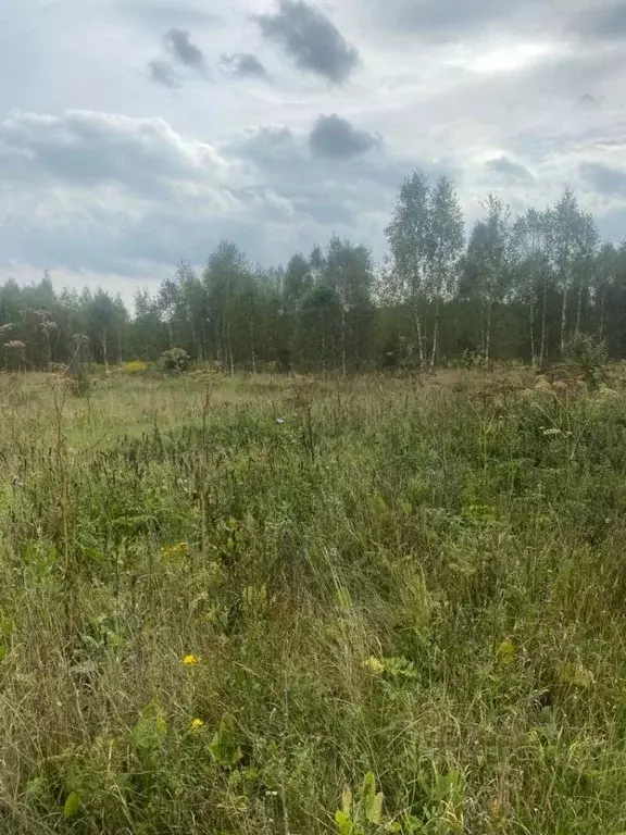 Участок в Калужская область, Ферзиковский муниципальный округ, с. ... - Фото 2